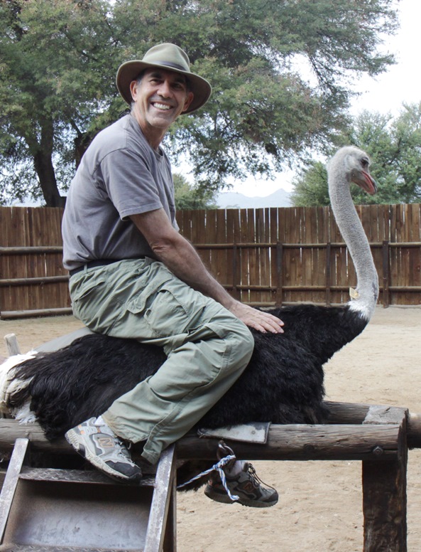 cango ostrich farm